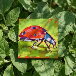 Ladybug