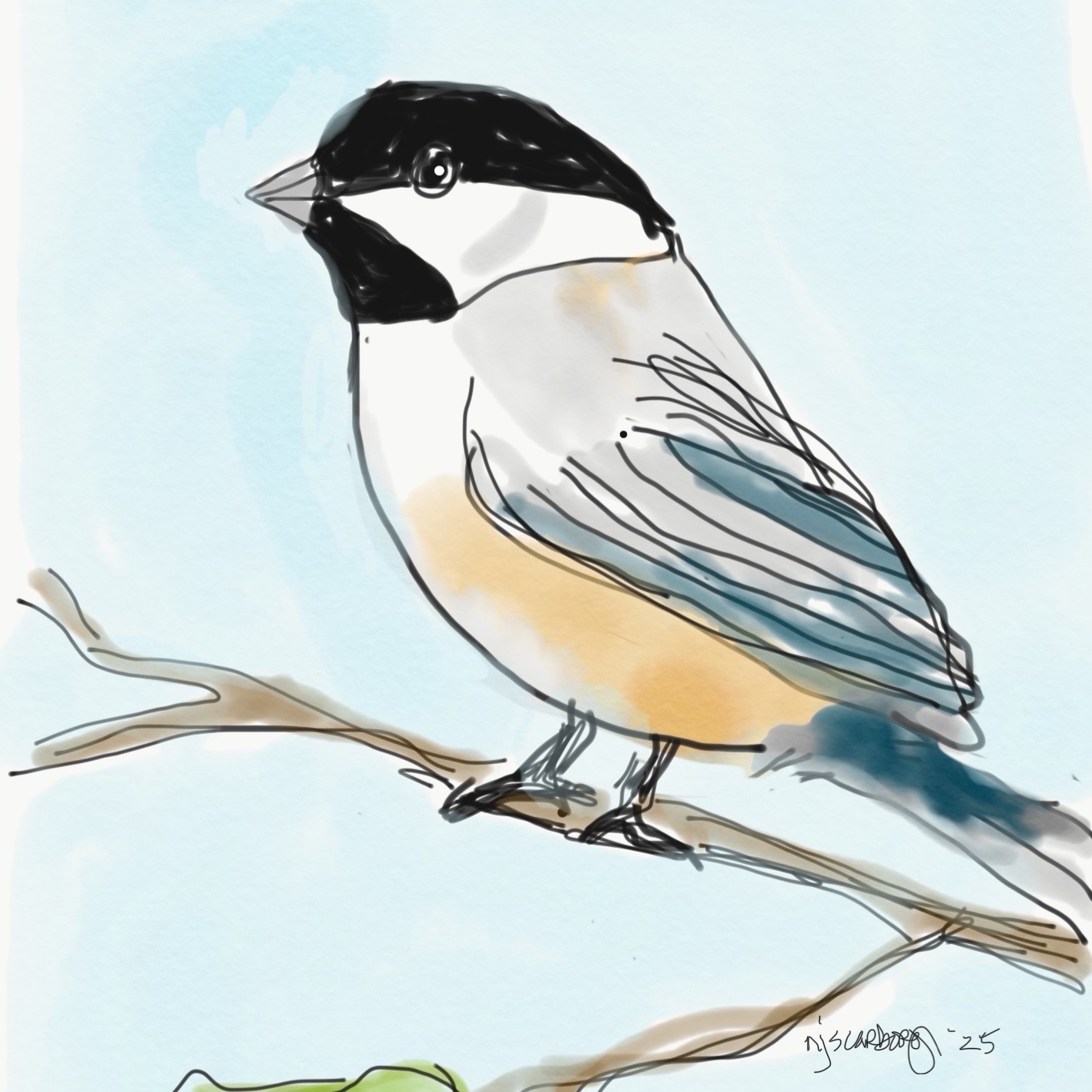 Chickadee