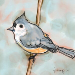 Tufted Titmouse
