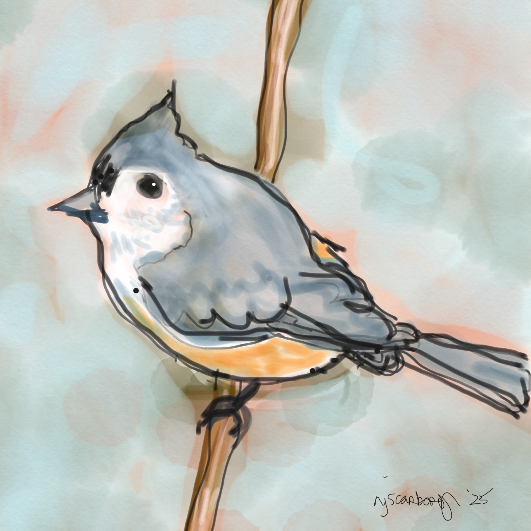 Tufted Titmouse