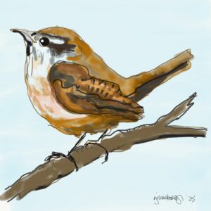 Wren