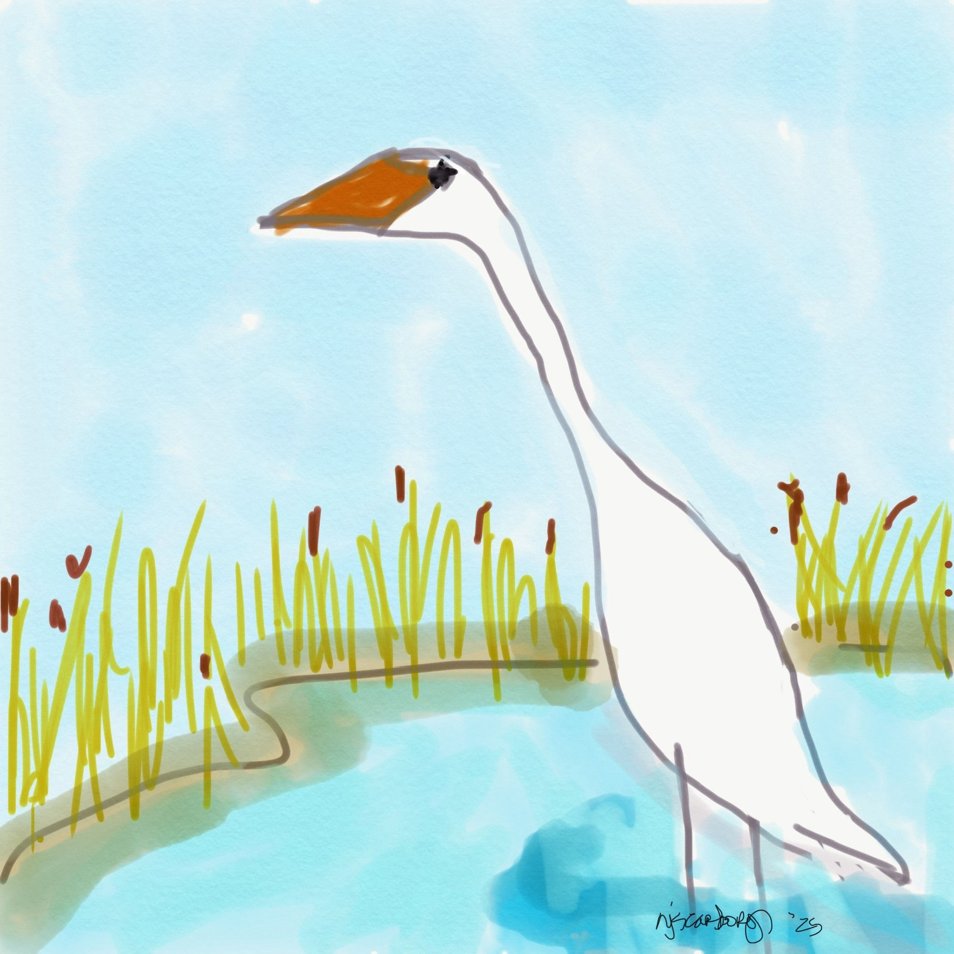 Egret