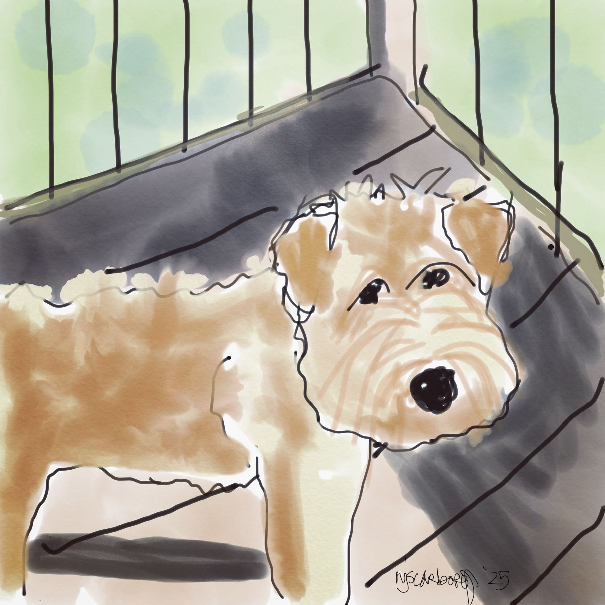 Good Dog