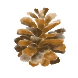 Pinecone