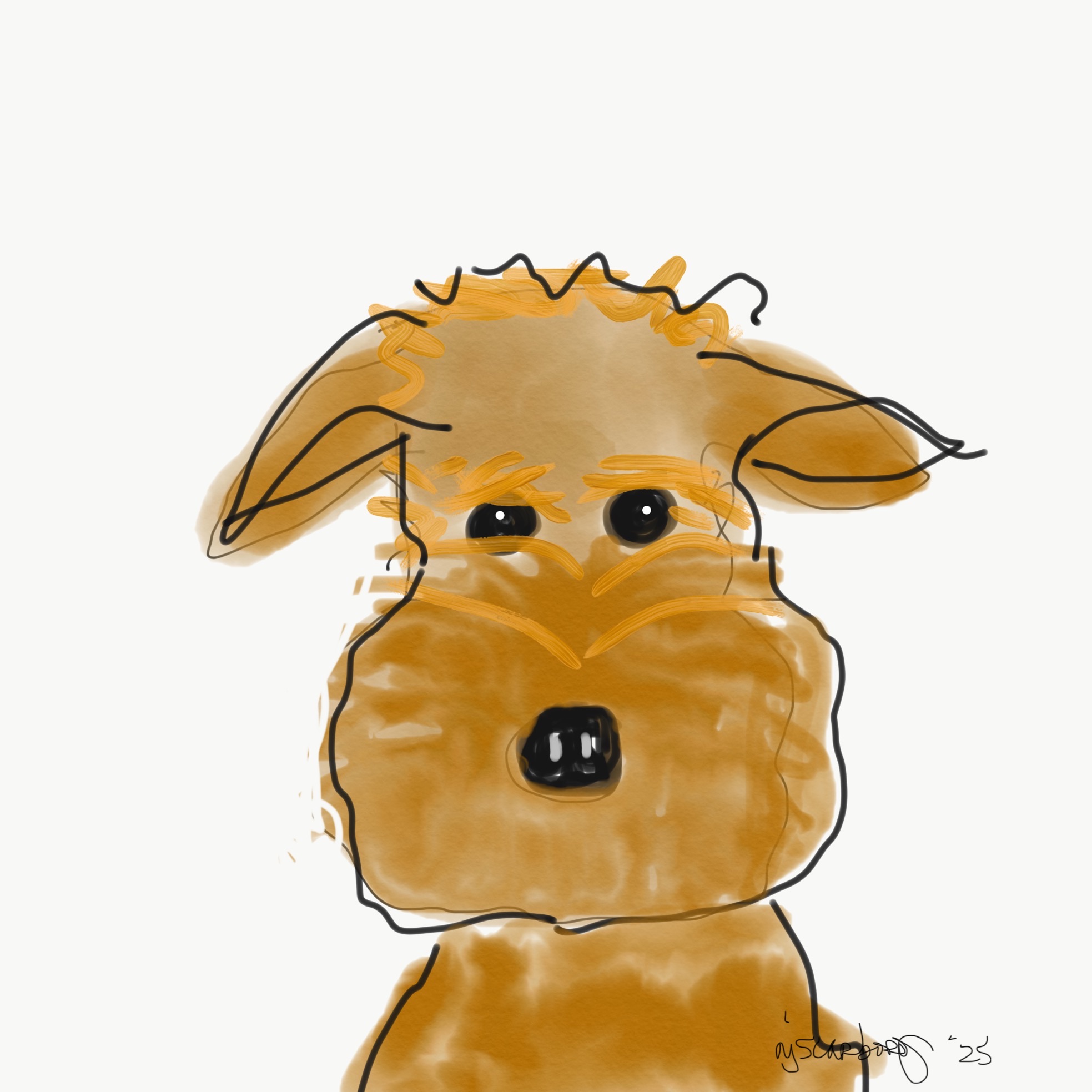 That Terrier Face